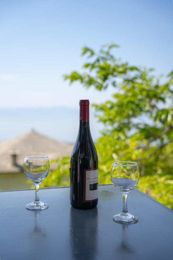 הוילה ויזיצה Pelion House With Stunning View To Relax מראה חיצוני תמונה